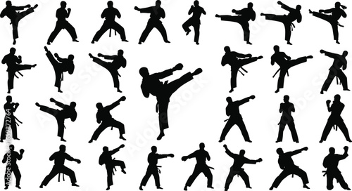 Silhouette martial artists performing various stances and techniques, kicks, punches, defensive moves, diverse fighting styles, combat sport illustration concept