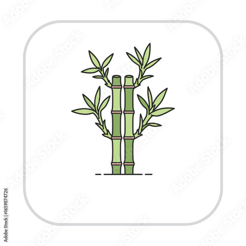 Elegant lucky bamboo arrangement a symbol of prosperity and good fortune placed in a minimalist zen garden ideal for wellbeing and spa content bringing tranquility and feng shui.