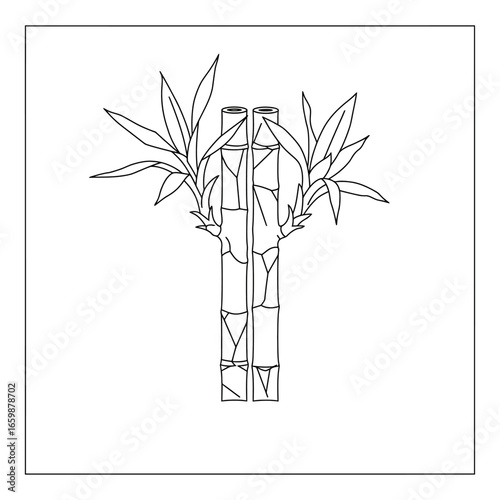 Two stalks of lucky bamboo shoots with leaves in a minimalist design evoking zen and growth ideal for wellness blogs and asian-themed backgrounds.