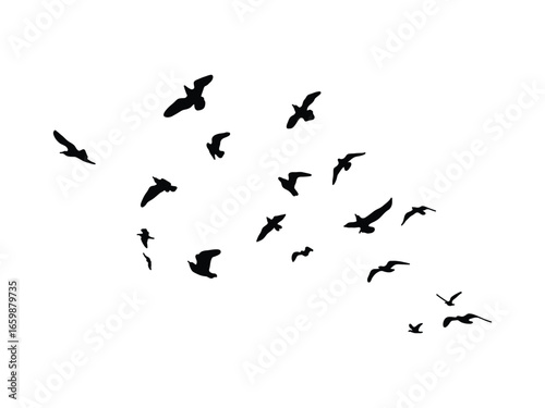 Flying Birds Silhouette Vector. Flock of Birds in Flight Icons