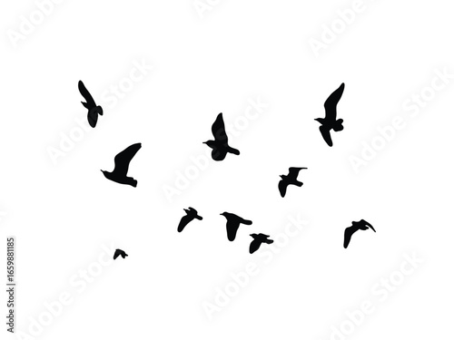 Flock of Flying Birds Silhouette Vector. Bird Migration Icons Set