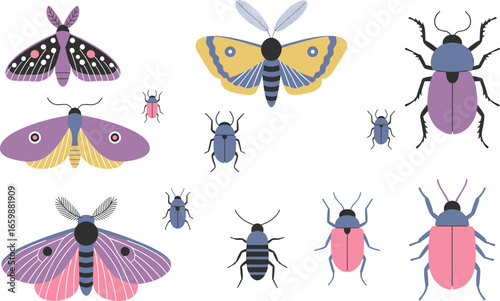 Colorful insect collection vector, moths and beetles illustration, flat entomology art, decorative bugs, minimal nature design, isolated on white background