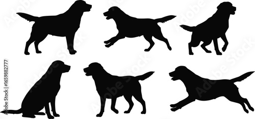 Golden retriever silhouette collection, black dog poses, running, sitting, playing retriever vector, isolated pet shape, hunting dog breed illustration