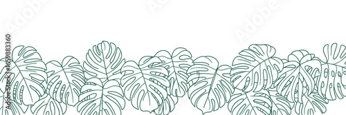A line of outlined monstera leaves with holes in them at the bottom of a white background space above