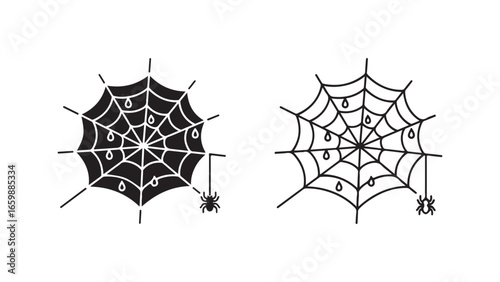 Spiderweb with spider and dew drops with transparent background