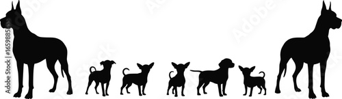 Silhouette of big and small dogs, adult Great Danes with puppies, vector illustration isolated on white background for pet and animal themes