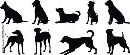 Various dog silhouettes in sitting, standing, and playful poses, vector illustration for pet, animal, training, obedience, design, and decoration use