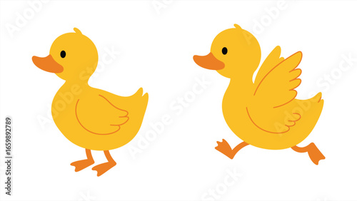 Adorable Yellow Ducklings Standing and Running. Perfect for Children's Educational Content