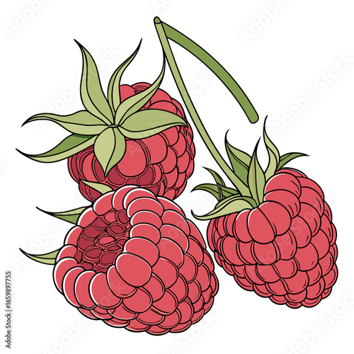 Fresh raspberries, a healthy and sweet treat