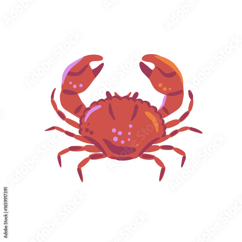 Red crab illustration. Hand drawn vector drawing isolated on white background. Seafood cuisine and marine food. Design for poster, menu, postcard, sticker