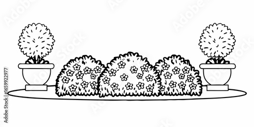 Illustration of two topiary plants in pots flanking three flowering bushes on a platform in black and white