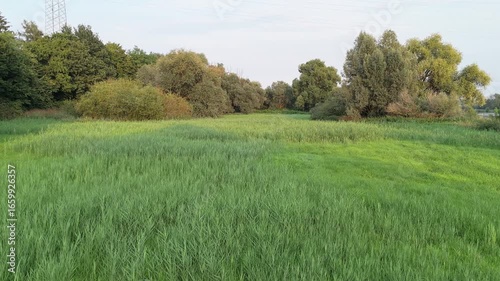 Low altitude drone flight across vibrant green meadow at sunset. The light highlights the natural texture of the landscape, creating a serene and peaceful countryside view.