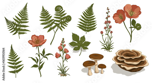 Botanical collection with ferns, poppies, and mushrooms in flat style