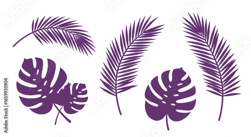 Purple tropical palm leaves on white background
