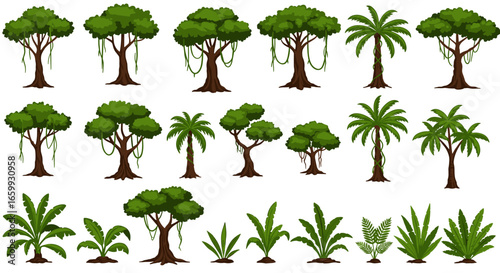 Collection of cartoon jungle trees and plants with lush green foliage