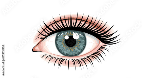 Realistic blue eye with detailed lashes and reflections on white background