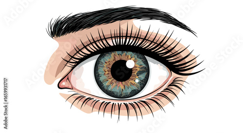 Mesmerizing realistic eye with detailed lashes and lively iris on white background
