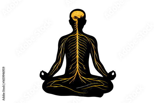 human mind relaxation with yoga exercise , human body nerves working with mind system silhouette