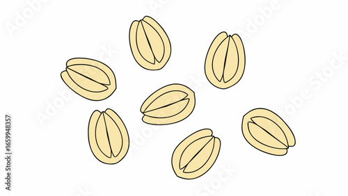 Vector of Pistachio nuts isolated on transparency background, dry, shelled, organic, healthy snack food