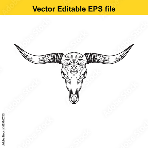 Bull skull with long horns, isolated on white background