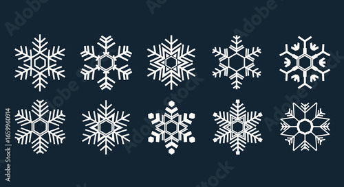 Collection of elegant white snowflake designs symbolizing winter's beauty and festive cheer