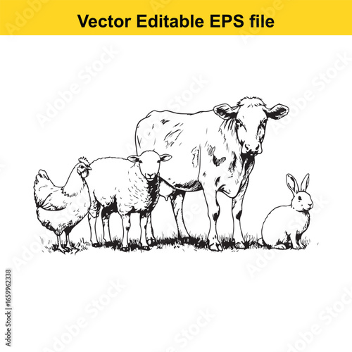 Farm animals including cow, sheep, and chicken in a line, isolated on white background