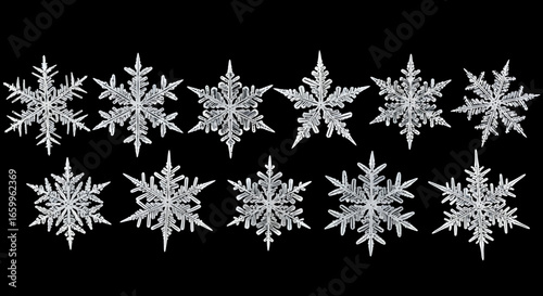 Stunning collection of detailed crystalline snowflakes on a stark black background, showcasing nature's intricate ice artistry