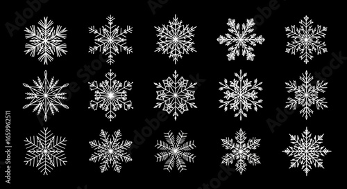 Stunning collection of diverse white snowflakes elegantly displayed on a deep black background, perfect for winter design.
