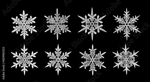 Discover the intricate beauty of unique snowflakes, each a delicate natural masterpiece captured in stunning detail