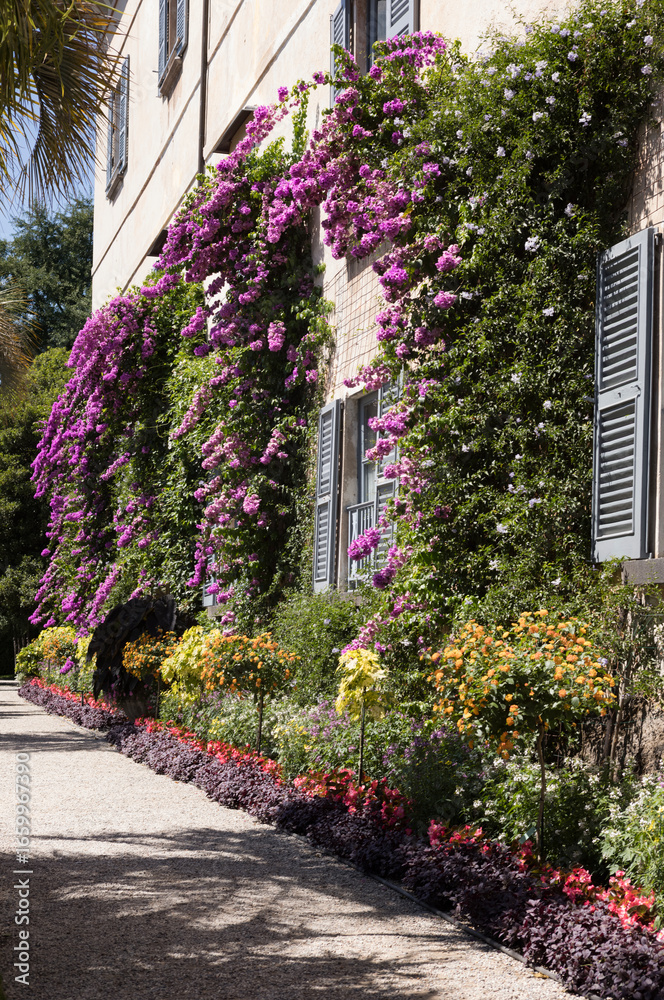 Obraz premium le Lac Majeur Italie