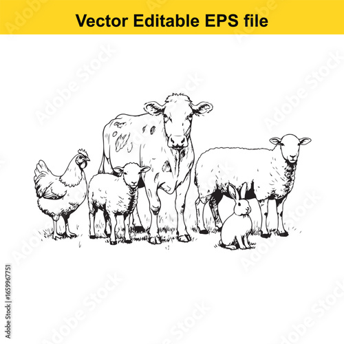 Farm animals illustration chicken, cow, sheep, lamb, and rabbit standing together