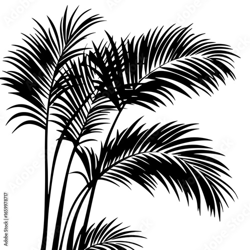 Stylized palm tree silhouettes in black showcasing lush foliage ideal for tropical-themed designs or decor