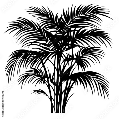 Lush tropical palm tree silhouette with intricate fronds showcasing natural beauty and elegance