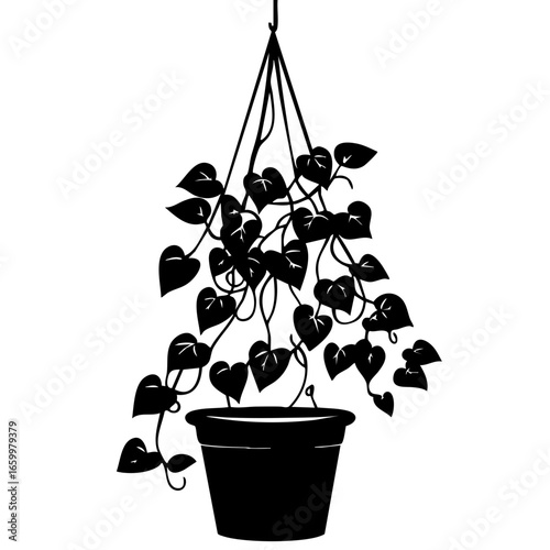 Hanging plant with cascading vines in a pot for home decor and interior design enhancement