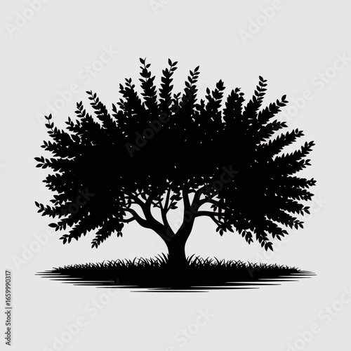 Silhouette of a Tree with Grass Background