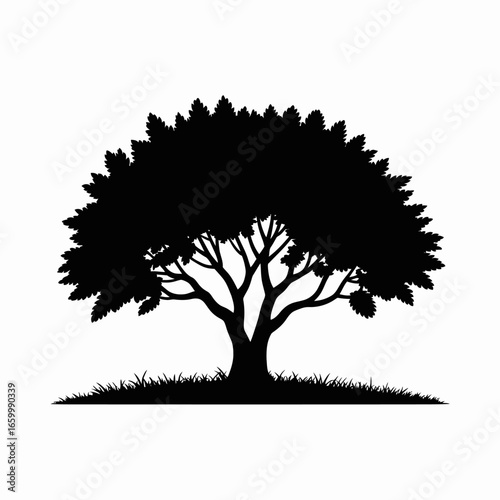 Silhouette of a Tree with Grass Background