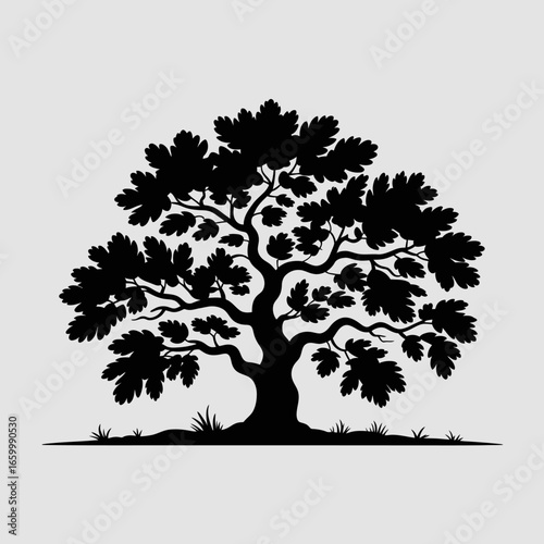 Silhouetted Tree with Leaves and Grass Background