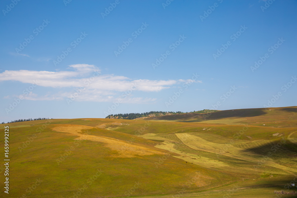 Fototapeta premium Alpine pasture and blue sky scenery on Karajun Grassland, Xinjiang, China