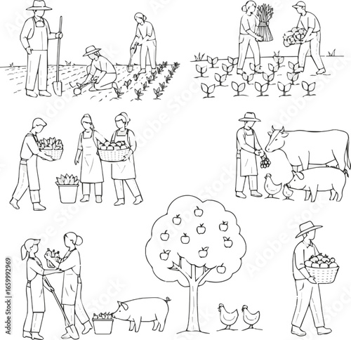 Create a Architectural Drawings people farmer, agricultural workers planting crops, gathering harvest, collecting apples, feeding farm animals, carrying fruits, Minimal style hand drawn. vector art wi