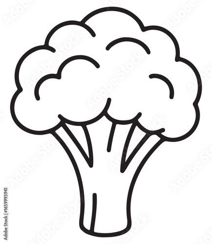 Simple outline drawing of a fresh cauliflower head