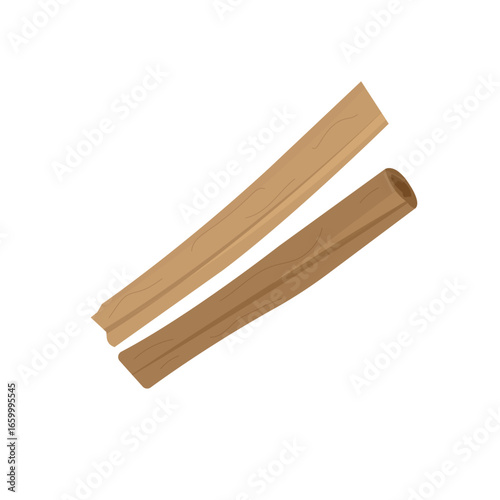 vector illustration of cinnamon bark herb