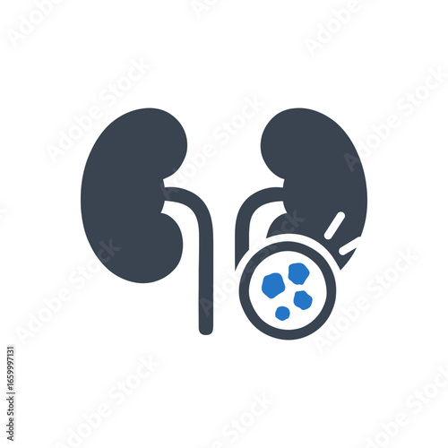 Kidney Stones Diagnostic Icon