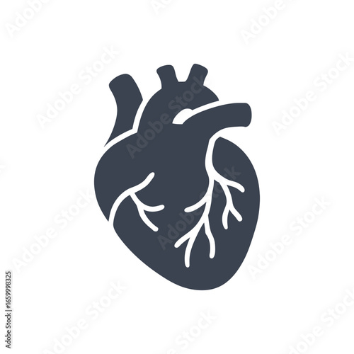 Cardiac Coronary Artery Icon
