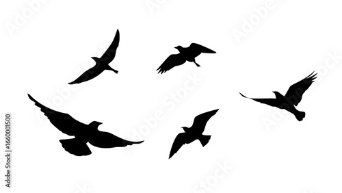 Flock of birds in flight flying silhouette