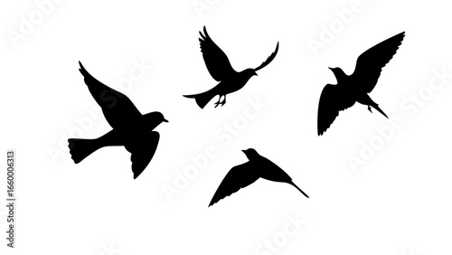 Minimalist Black Silhouette of a Running Horse vector