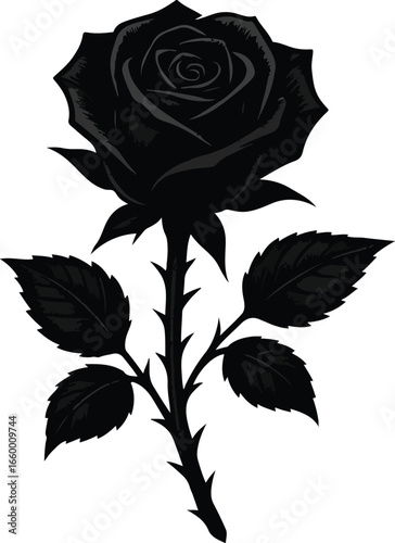 enigmatic black rose with thorns isolated  vector illustration