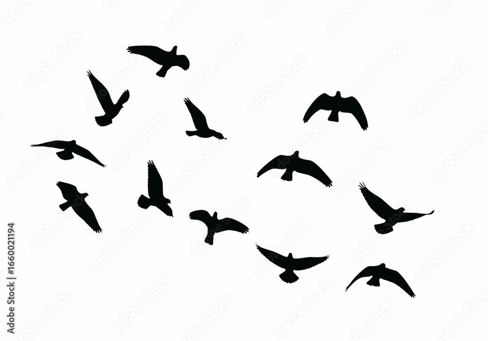 Fototapeta premium Flying birds silhouettes on white background. Vector illustration. isolated bird flying. tattoo design.