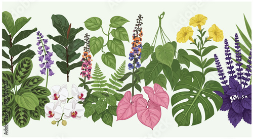 Botanical card, natural green plants. Exotic jungle background, floral backdrop design. Tropical leaf garden, fresh foliage. Greenery, greenhouse with leaves. Summer thickets. Flat vector illustration