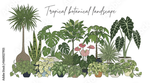 Forest Mural Wallpaper and Jungle Wall Murals, Ever Wallpaper Design, Tropical Wall Mural, Jungle mural Design