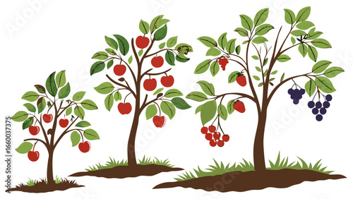 Three Fruit Trees Showing Growth Stages.